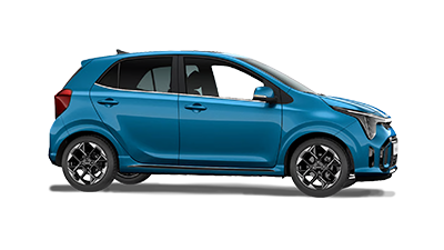 Cat A Picanto
